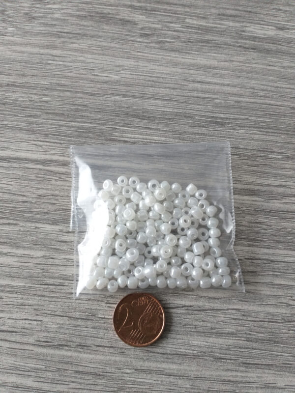 Witte blinkende mix rocailles - 10 gram 2