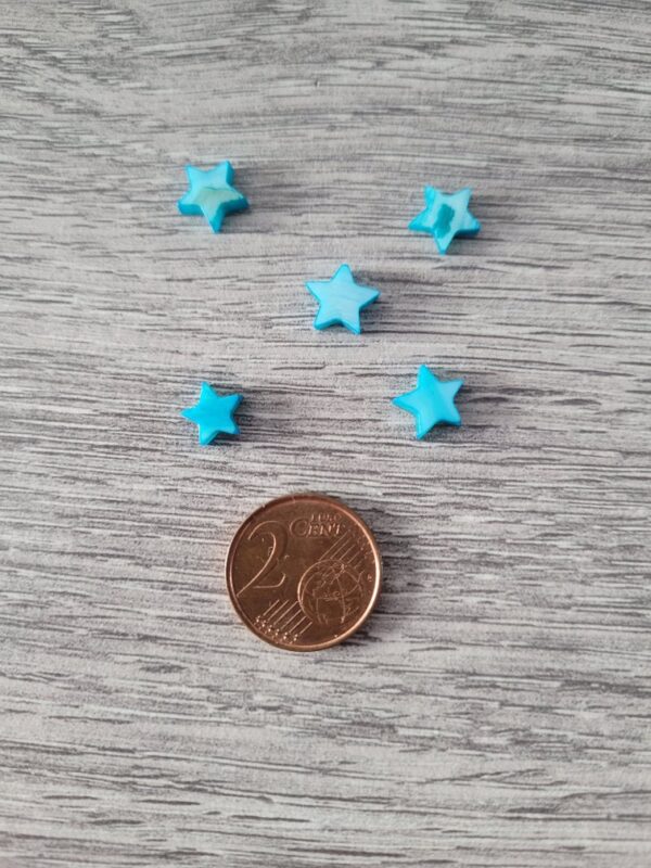 Blauwe schelp kraal in de vorm van een ster 2
