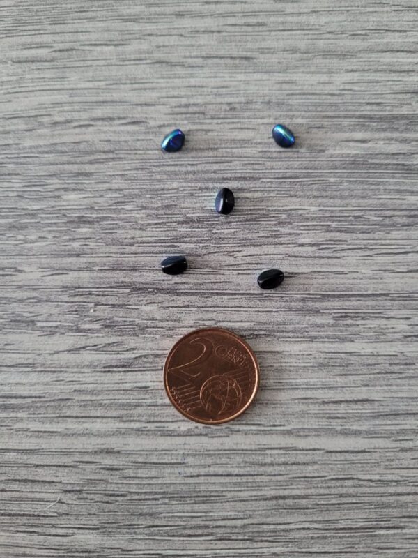 Zwarte/blauwe pinch bead - glaskraal 2