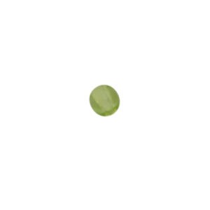 Groene ronde glaskraal
