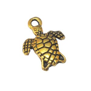 Goudkleurige bedel – schildpad
