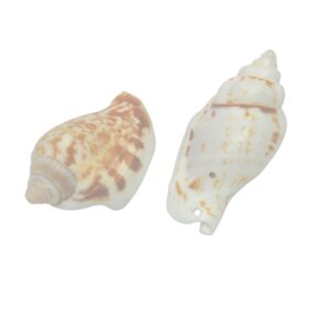 Bruine/witte schelp hanger